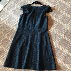 Loft deep green lace dress. NWT!
